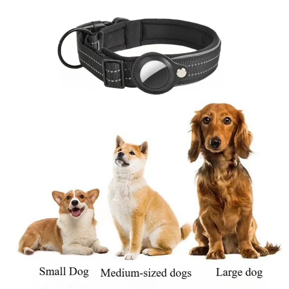 PupScout Dog Collar – Reflective & Padded